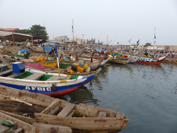 Environmental and social assessment, and related studies