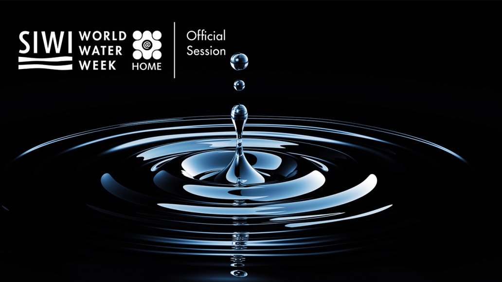 World Water Week At Home