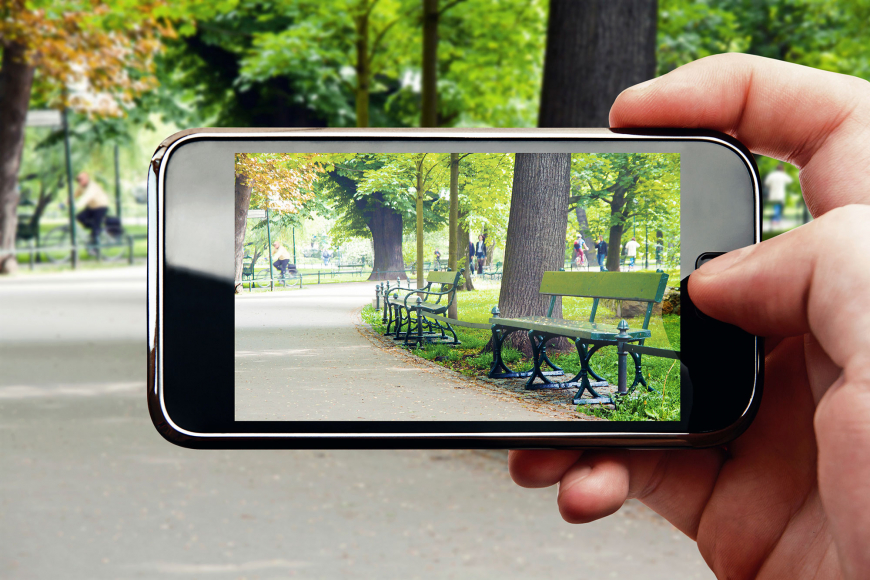 Bomenportaal: brengt de rol van bomen in beeld