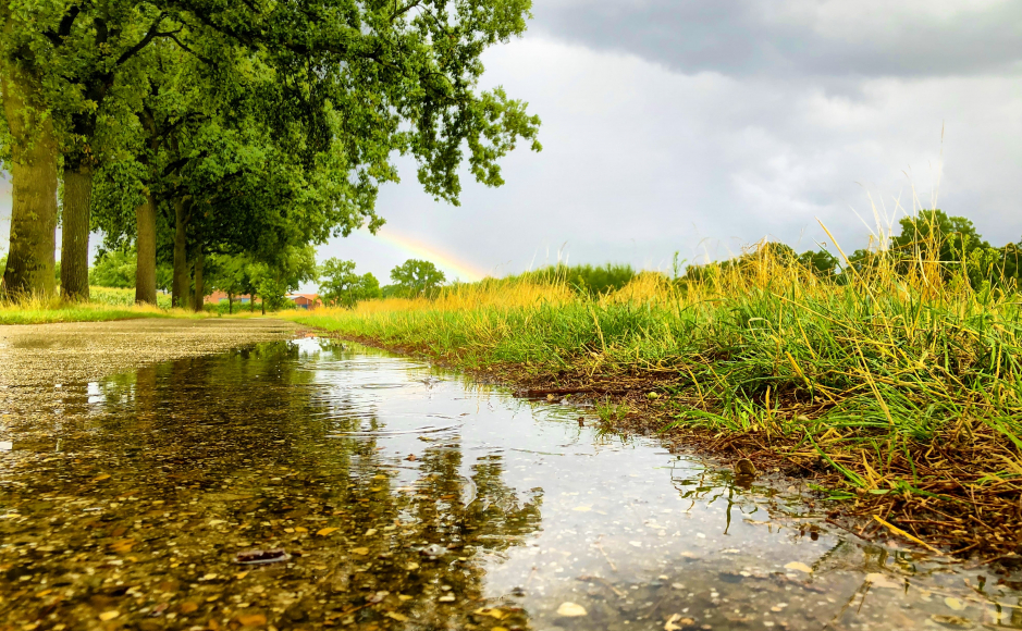 Klimaatdialogen in Leiderdorp: inzicht voor iedereen!
