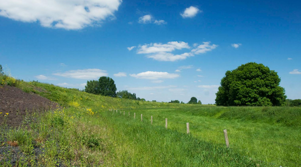 Achter de schermen werken aan Natuurnetwerk Nederland