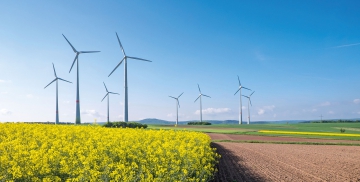 CO2-footprint verlagen: innovatieve oplossingen voor duurzaamheidsmanagement