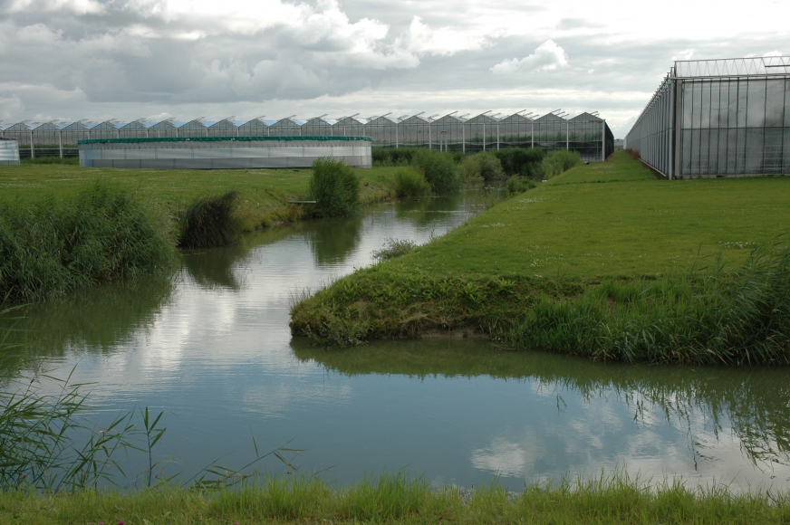 Gemeente Westland: BRO-ondersteuning in elke fase