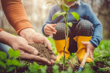ecologisch advies beleid