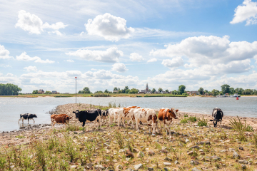 kaderrichtlijn water