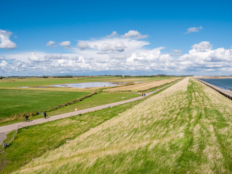 Reconstructie Nieuwlanderweg Texel: Als een plaatje door de polder
