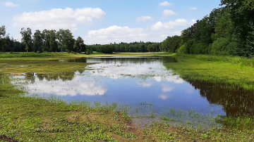 Zo werd de Hoogeindse beek in ere hersteld