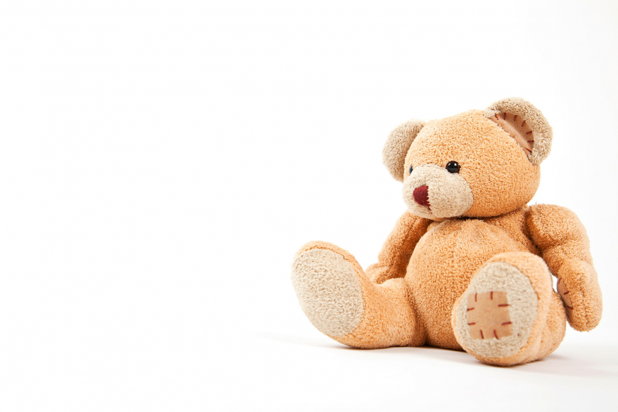 De Omgevingswet-teddybeer