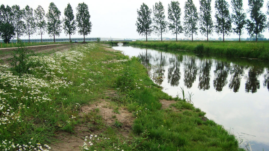 Antea Group wint uit 2 aanbestedingen de raamcontracten bij 5 waterschappen