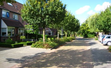 Van vakbeheerder naar adviseurs van de fysieke leefomgeving.