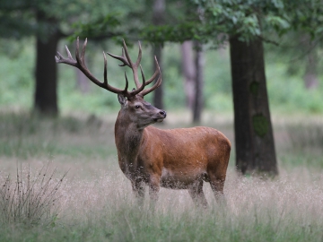 nationaal park de hoge veluwe bouwbegeleiding