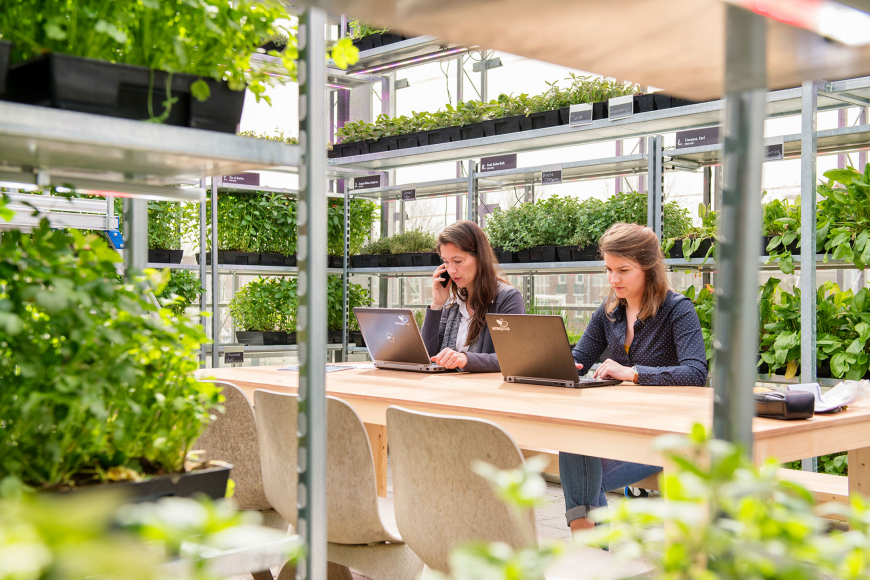 Uitvoeringsstrategie voor duurzaamheidsambities gemeente Ooststellingwerf