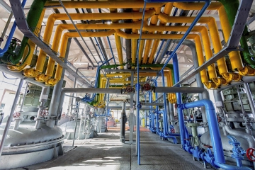 Organisatiestructuur