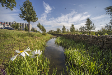 Focus op klimaatbestendig watermanagement
