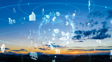 Sustainability Consulting Services