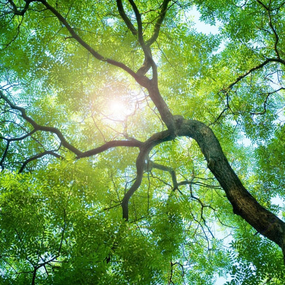 Antea Group Named #4 Environmental Management Firm