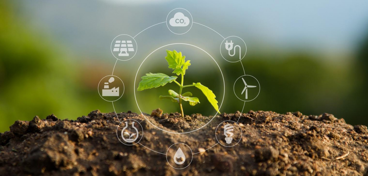 Seedling with Bubble of Eco Icons