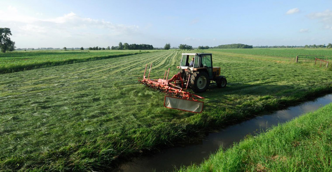 5 Expert Insights Food & Beverage Companies Can Use to Inspire Sustainability Efforts