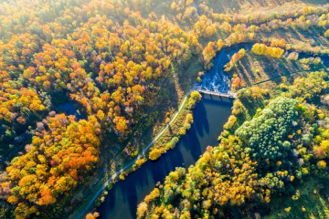 Water Protections and Other Regulations Are Rolling Back. What Should Businesses Do?