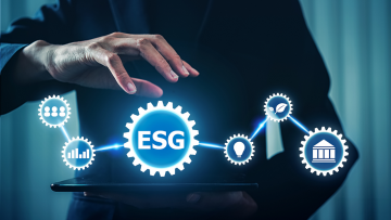 Post-Merger and Acquisition Support