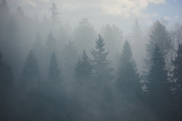 Climate Related Risk Assessments