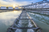 Waste Water Management Plant