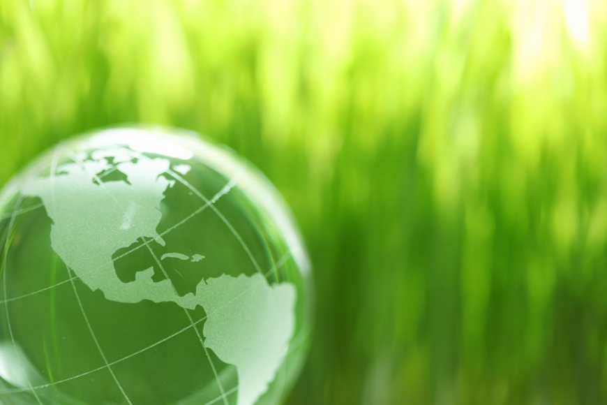 Green globe in green grass