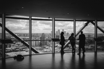 sustainability leadership consulting