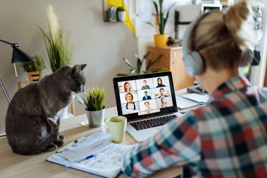 Woman in Virtual Meeting and a Cat on the Desk
