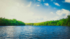 Lake Surrounded by Trees