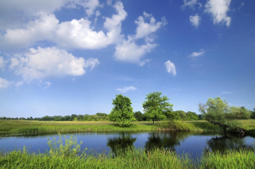 Data Management and Visualization for Interim Measure Plan