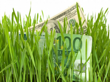 Money in the Grass