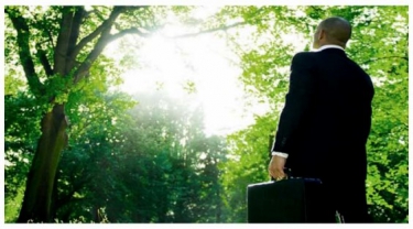 Sustainability Consulting Services
