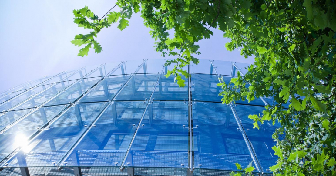 The New Leaf is Antea Group's Monthly Newsletter