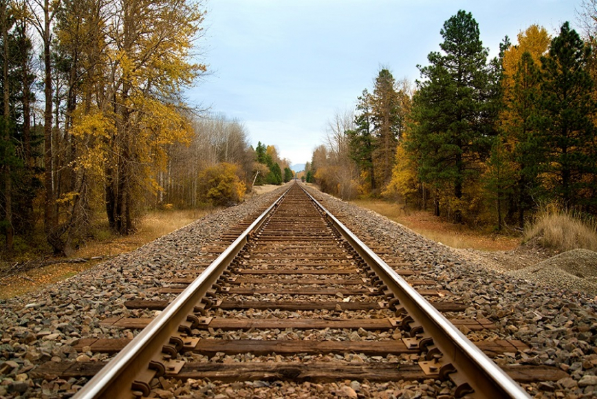Rail Road Tracks Through Woods