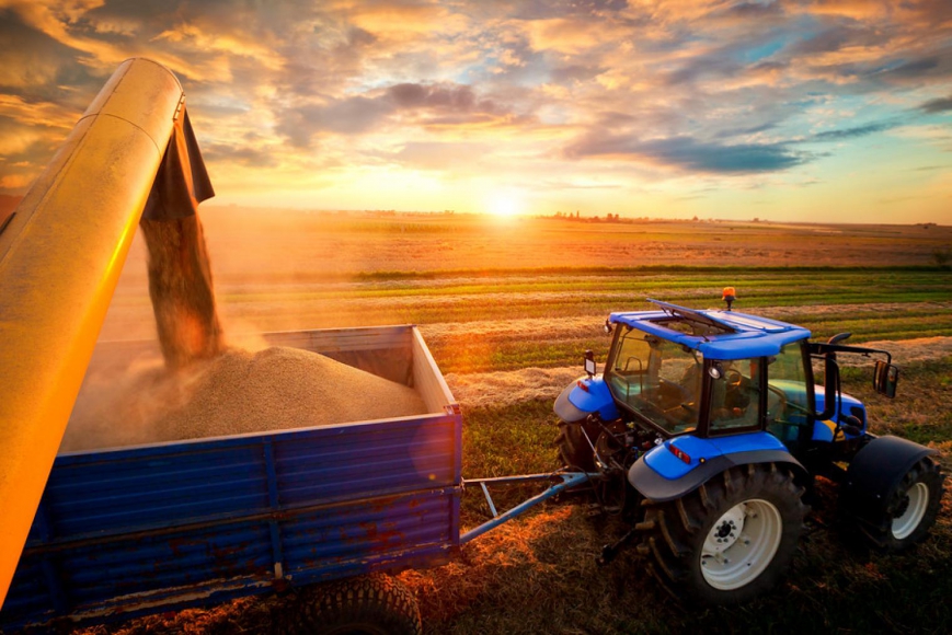Image of harvest | Change or Be Changed: The Future of Food & Beverage is Now| Antea Group USA