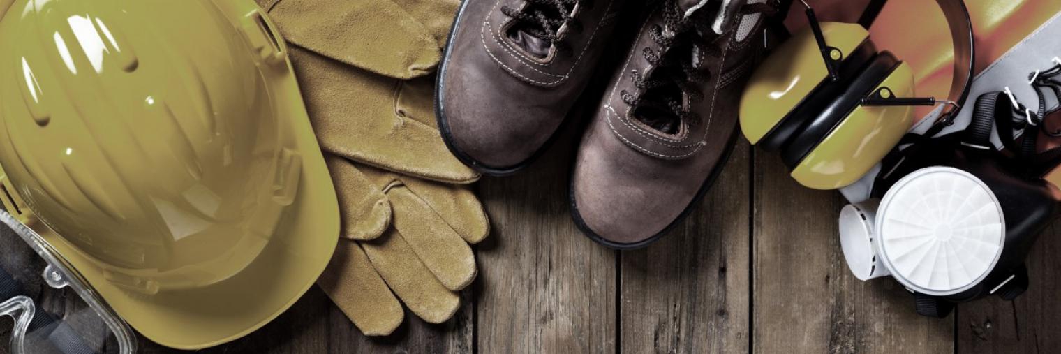 guide for new plant safety manager