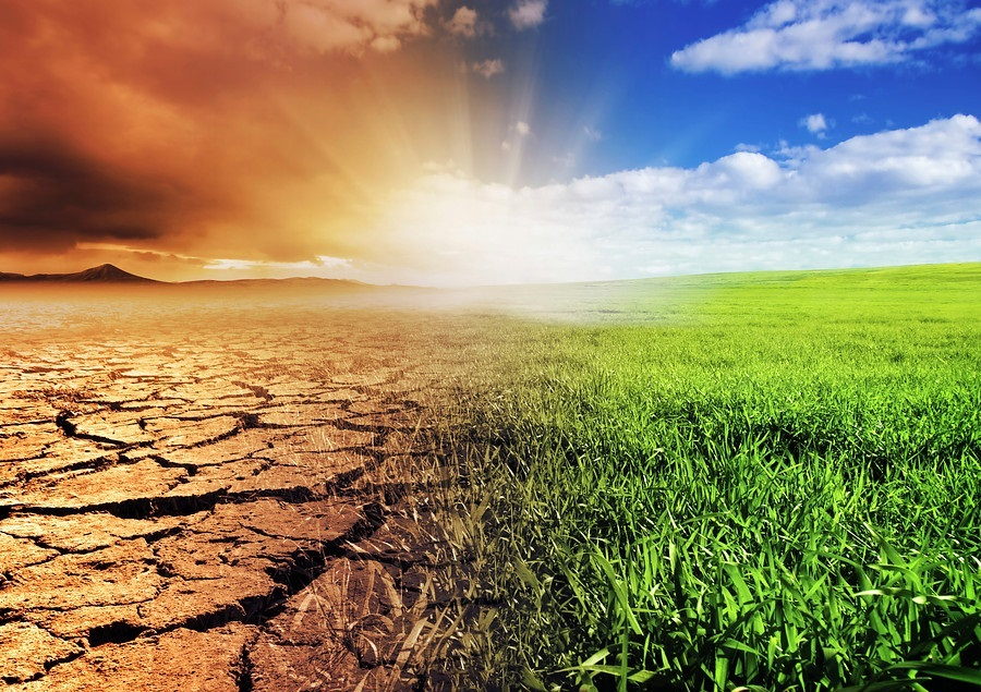 Managing Climate Risk | Antea Group