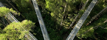 Reserve Forecasting and Validation