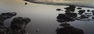 Contaminated surface water