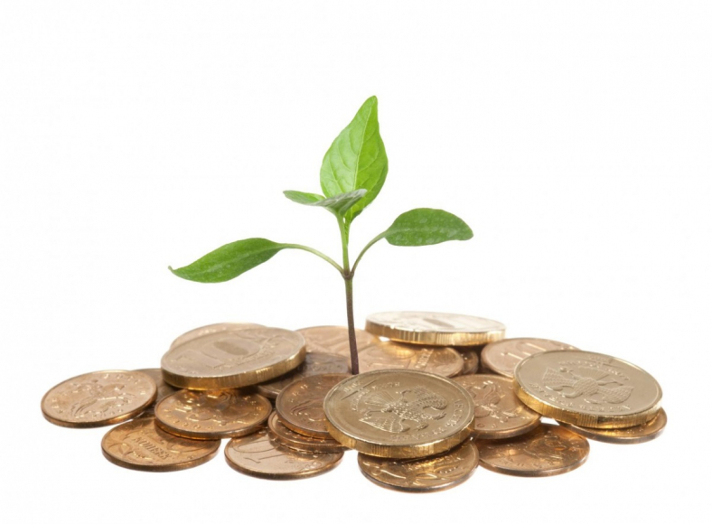 Monetizing Returns on Sustainability Investments 