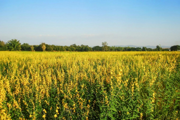 Troy Bernal Joins Antea Group Remediation Team