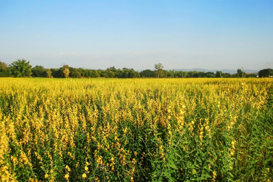 Troy Bernal Joins Antea Group Remediation Team