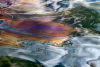 Abstract Oil Spill