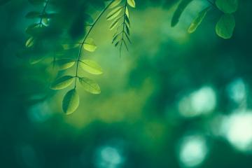 Antea Group Announces Environment+Energy Leader 100 Honorees for 2020