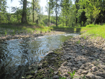Renaturation des milieux aquatiques et biodiversité