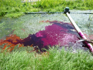 De la protection à la gestion des résurgences