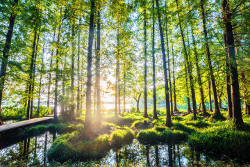 Ingénierie & conseil au service de la résilience climatique