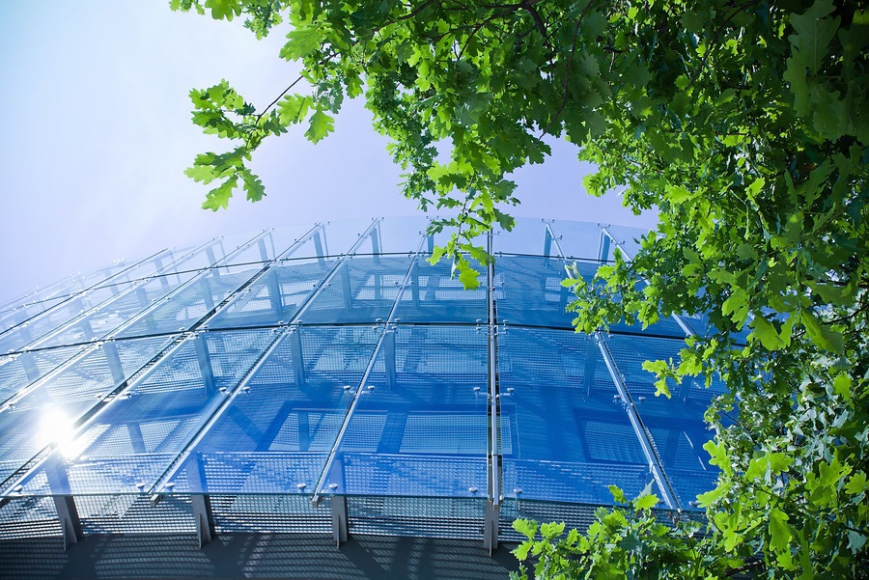 Glass building surrounded by trees