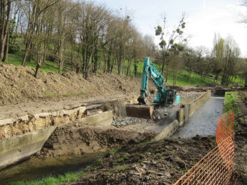 Renaturation des milieux aquatiques et biodiversité